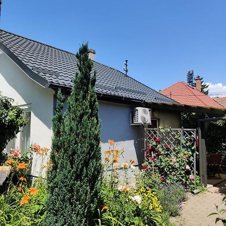Lenart House 1 Villa Siófok Eksteriør bilde